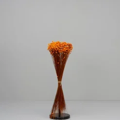 Tørrede Blomster - Glixia, Orange