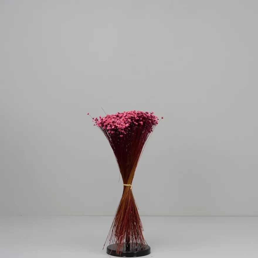 Tørrede Blomster - Glixia, Pink