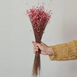Tørrede Blomster - Glixia, Pink