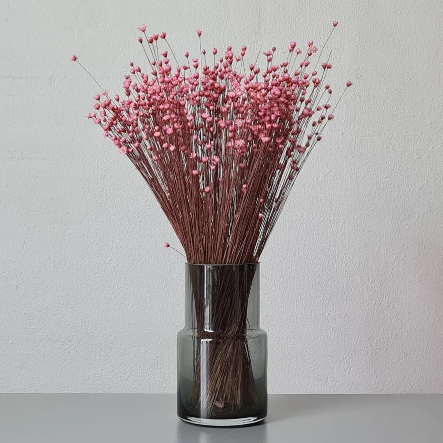 Tørrede Blomster - Glixia, Pink