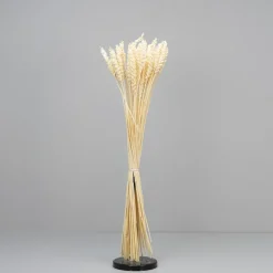 Tørrede Blomster - Hvede, Hvid