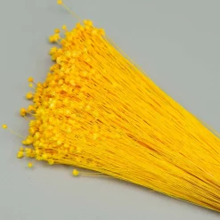 Tørrede Blomster - Jazilda Evighedsbuket, Gul (50 cm)