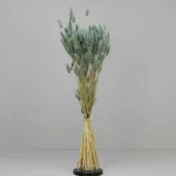 Tørrede Blomster - Lagurus, Grå/blå XL bundt