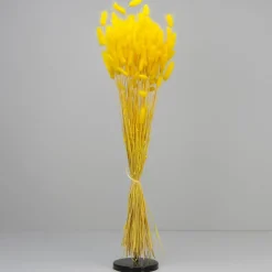 Tørrede Blomster - Lagurus, Gul. XL bundt
