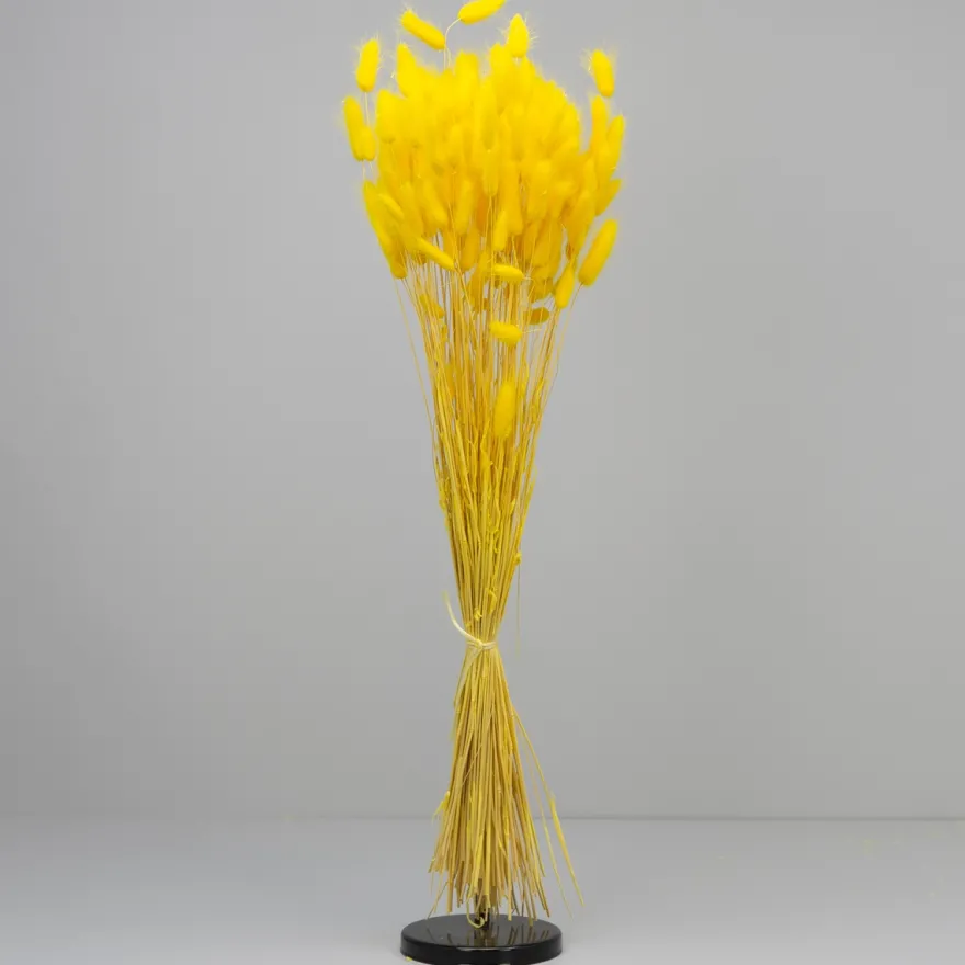 Tørrede Blomster - Lagurus, Gul. XL bundt