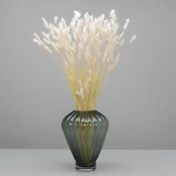 Tørrede Blomster - Lagurus, Hvid. XL bundt