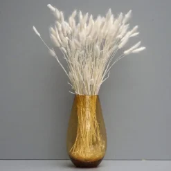 Tørrede Blomster - Lagurus, Hvid. XL bundt