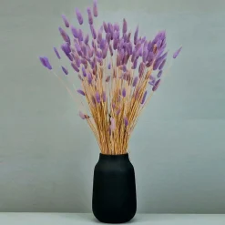 Tørrede Blomster - Lagurus, Lilac XL bundt