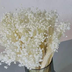 Tørrede Blomster - Marcela, Hvid