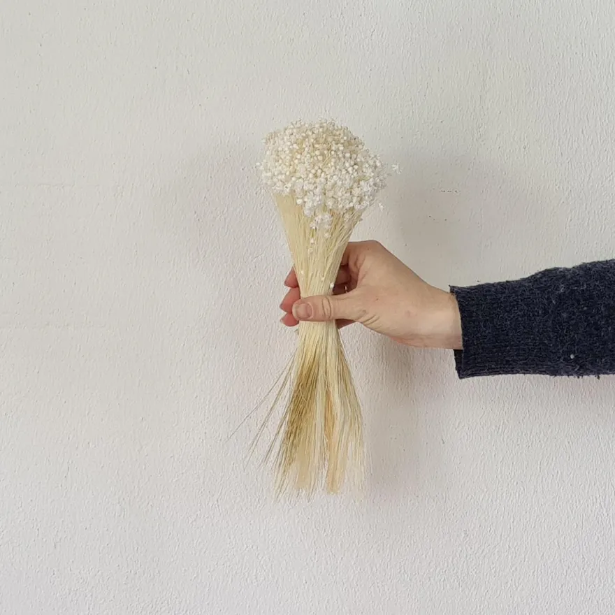 Tørrede Blomster - Marcela, Hvid