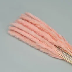 Tørrede Blomster - Mini pampasgræs - Pink