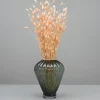 Tørrede Blomster - Phalaris Light Pink