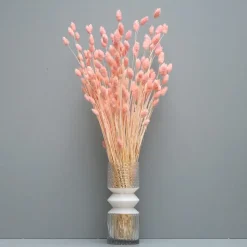 Tørrede Blomster - Phalaris Light Pink
