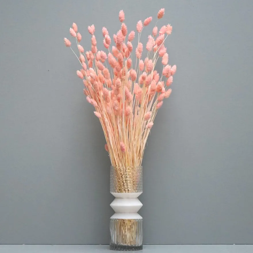 Tørrede Blomster - Phalaris Light Pink