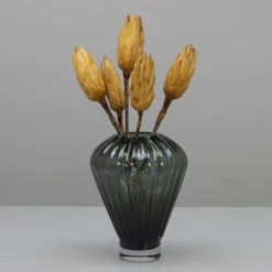 Tørrede Blomster - Protea, CREME. 5 stk