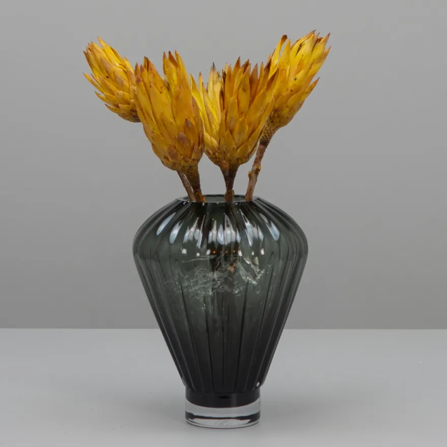 Tørrede Blomster - Protea, Gul. 5 stk