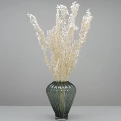 Tørrede Blomster - Ruscus, Hvid
