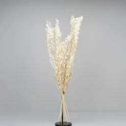 Tørrede Blomster - Ruscus, Hvid