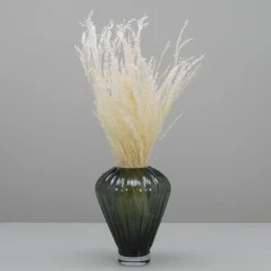 Tørrede Blomster - Stjernegræs, Hvid