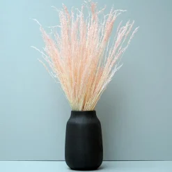 Tørrede Blomster - Stjernegræs, Lyserød