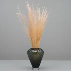 Tørrede Blomster - Stjernegræs, Lyserød