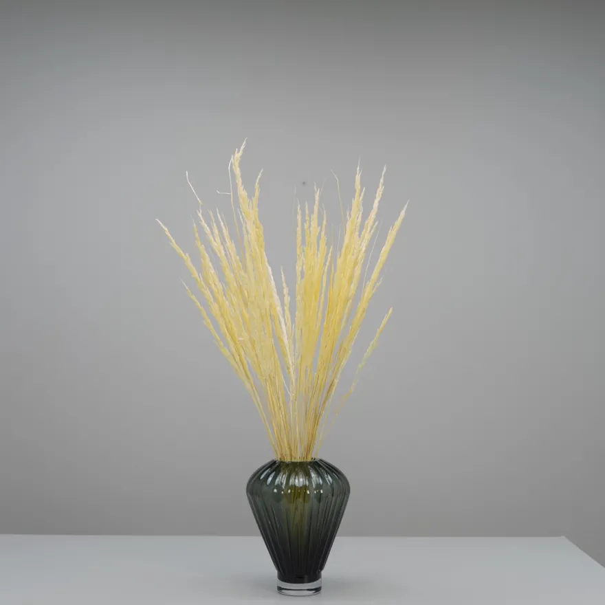 Tørrede Blomster - Vulpine, Creme