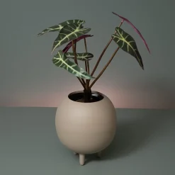 Wikholm Sonia urtepotteskjuler - Small, Mat Linen