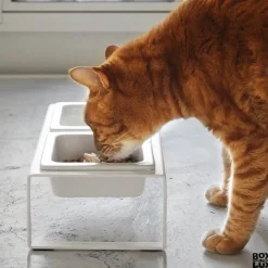 Yamazaki skåle til foder/vand til katte, hvid